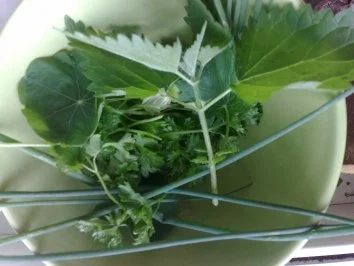 Rezept: Patisson gefüllt mit Champignon-Kräuterhackfleisch Bild Nr. 4 Patisson gefüllt mit Champignon-Kräuterhackfleisch - Rezept - Bild Nr. 4