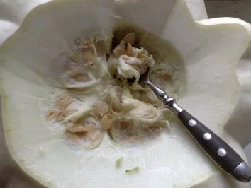 Rezept: Patisson gefüllt mit Champignon-Kräuterhackfleisch Bild Nr. 7 Patisson gefüllt mit Champignon-Kräuterhackfleisch - Rezept - Bild Nr. 7