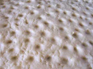 Backen: Zitronen-Butter-Kuchen - Rezept - Bild Nr. 2