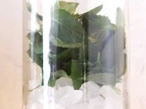 Likör: Minz-Likör - Rezept