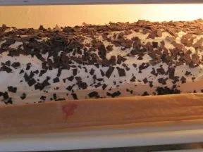 Rezept: Schwarzwälder-Kirsch-Rolle Bild Nr. 3 Schwarzwälder-Kirsch-Rolle - Rezept - Bild Nr. 3