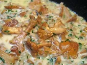 Eierschwammerl  in heller Soße... - Rezept