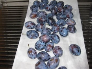 ☆  Zwetschgenkuchen auf meine Art... ☆ - Rezept - Bild Nr. 2