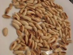 Pikante Spaghettini mit Salami - Rezept - Bild Nr. 3