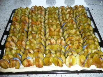 Pflaumenkuchen m. Hefeteig - Rezept