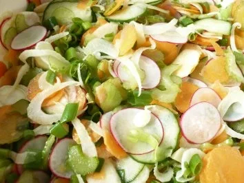 Sommersalat mit Orangen - Vinaigrette - Rezept
