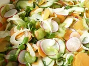 Sommersalat mit Orangen - Vinaigrette - Rezept