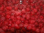 Himbeersirup - Rezept