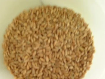 Dinkel-Bällchen - Rezept - Bild Nr. 2