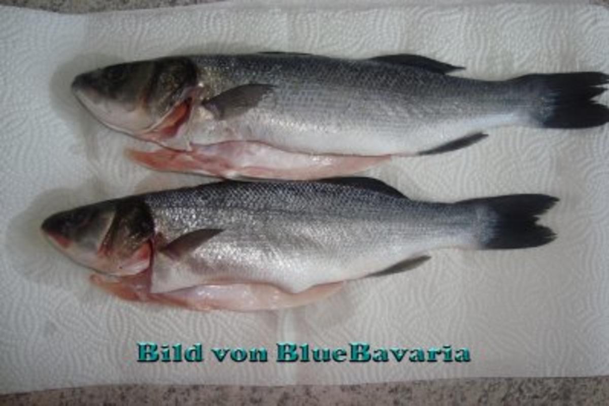 Fischgerichte: Wolfsbarsch gebraten - Rezept - Bild Nr. 2