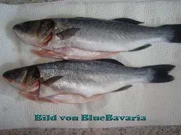 Rezept: Fischgerichte: Wolfsbarsch gebraten Bild Nr. 2 Fischgerichte: Wolfsbarsch gebraten - Rezept - Bild Nr. 2