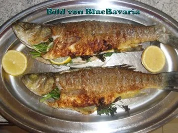 Rezept: Fischgerichte: Wolfsbarsch gebraten Bild Nr. 3 Fischgerichte: Wolfsbarsch gebraten - Rezept - Bild Nr. 3