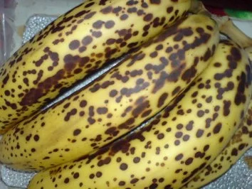 Rezept: Bananen-Napfkuchen Bild Nr. 9 Bananen-Napfkuchen - Rezept - Bild Nr. 9