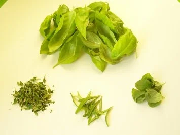 Einmachen: Tomatenmark - Rezept - Bild Nr. 2