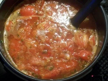 Einmachen: Tomatenmark - Rezept - Bild Nr. 3