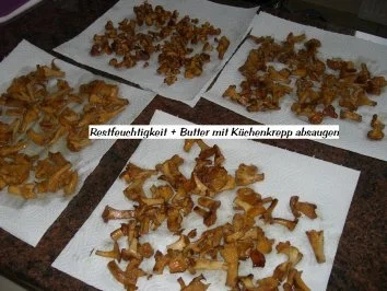 Pilze:    PFIFFERLINGE haben Saison - Rezept - Bild Nr. 5