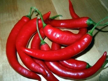 Rezept: Scharfe Chilisauce Bild Nr. 2 Scharfe Chilisauce - Rezept - Bild Nr. 2