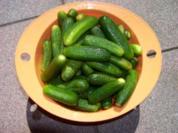 Gewürzgurken - Rezept