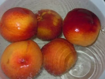 Pfirsich-Rosmarin-Creme - Rezept - Bild Nr. 2