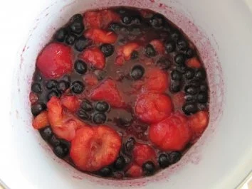 Früchtemus - "5 Elemente Küche" - Rezept - Bild Nr. 4