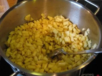 Apfel hinter Gitter - Rezept - Bild Nr. 5