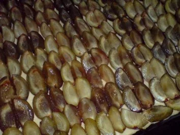 Rezept: Pflaumen-Hefe-Kuchen Bild Nr. 9 Pflaumen-Hefe-Kuchen - Rezept - Bild Nr. 9