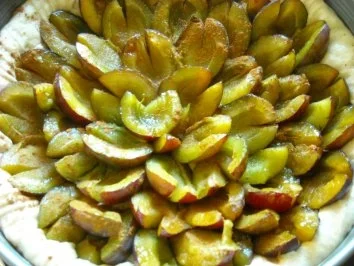 Rezept: Zwetschgenkuchen Bild Nr. 5 Zwetschgenkuchen - Rezept - Bild Nr. 5