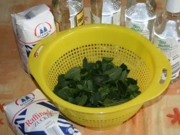 Pfefferminz Likör - Rezept - Bild Nr. 2