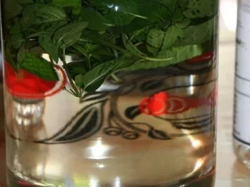 Pfefferminz Likör - Rezept - Bild Nr. 5