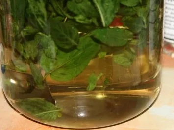 Pfefferminz Likör - Rezept - Bild Nr. 6