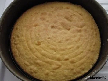 Quarksahnetorte mit Mandarinen - Rezept - Bild Nr. 5