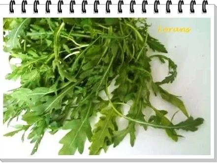 Bruschetta mit Rucola und Paprika - Rezept - Bild Nr. 6