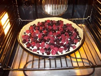 Beerenkuchen mit Kokos - Rezept - Bild Nr. 5