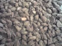 Rezept: Gebrannte Mandeln Bild Nr. 2 Gebrannte Mandeln - Rezept - Bild Nr. 2