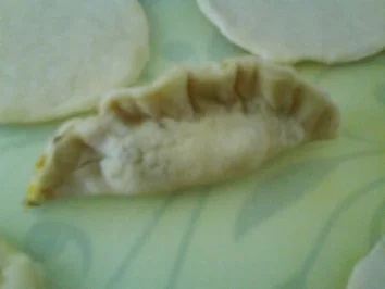 Yaki-Gyōza - Rezept - Bild Nr. 11