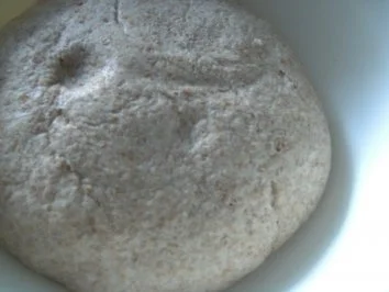 Roggen-Vollkorn-Brötchen, ein gelungener Versuch - Rezept - Bild Nr. 3