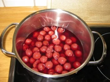 Joghurt-Mintcreme auf Kirschen ...vonne Sabine - Rezept - Bild Nr. 4