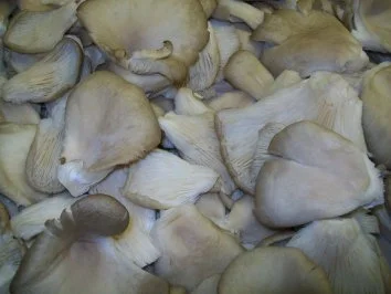 Entenstulle - Rezept - Bild Nr. 5