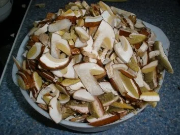 Rezept: Schwammerlgulasch Bild Nr. 2 Schwammerlgulasch - Rezept - Bild Nr. 2