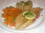 Zanderfilet im Bierteig - Rezept