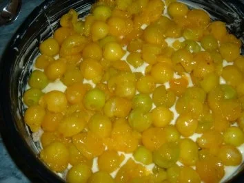 Rezept: Kuchen.......Mirabellenkuchen mit Nussboden Bild Nr. 6 Kuchen.......Mirabellenkuchen mit Nussboden - Rezept - Bild Nr. 6