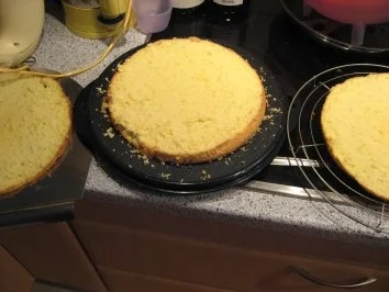 Rezept: Torte - Luftiger Apfel Bild Nr. 5 Torte - Luftiger Apfel - Rezept - Bild Nr. 5