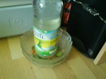 Rezept: Zweifarbiges Shiozuke Bild Nr. 7 Zweifarbiges Shiozuke - Rezept - Bild Nr. 7