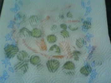 Rezept: Zweifarbiges Shiozuke Bild Nr. 11 Zweifarbiges Shiozuke - Rezept - Bild Nr. 11