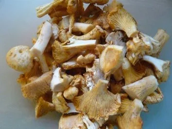 Schweinerückensteak mit Pfifferlingen - Rezept - Bild Nr. 2