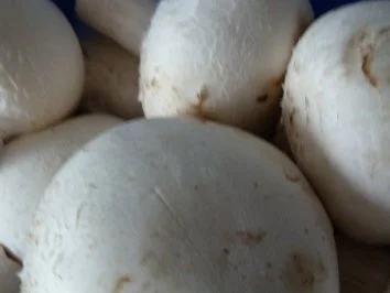 Cremige Salami - Pilzpfanne an italienischer Pasta - Rezept - Bild Nr. 5