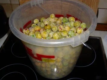 Rezept: Kuchen/Torte...Mirabellenkuchen Bild Nr. 2 Kuchen/Torte...Mirabellenkuchen - Rezept - Bild Nr. 2