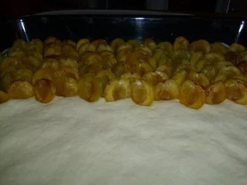 Rezept: Kuchen/Torte...Mirabellenkuchen Bild Nr. 3 Kuchen/Torte...Mirabellenkuchen - Rezept - Bild Nr. 3