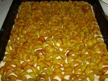 Rezept: Kuchen/Torte...Mirabellenkuchen Bild Nr. 4 Kuchen/Torte...Mirabellenkuchen - Rezept - Bild Nr. 4