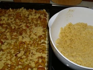 Rezept: Kuchen/Torte...Mirabellenkuchen Bild Nr. 5 Kuchen/Torte...Mirabellenkuchen - Rezept - Bild Nr. 5